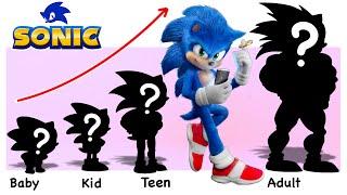 SONIC BOOM Growing Up COMPILATION  Cartoon Wow