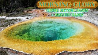 Morning Glory at Upper Geyser Basin + Biscuit Basin - Yellowstone National Park