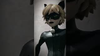 Miraculous Chat Noir Edit Mucize Uğur Böceği İle Kara Kedi