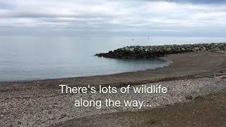 Watch Walk the cliff path from Bray to Greystones... it takes just 1.5 hours