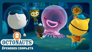 Octonauts -  Le cténophore géant   Saison 1  Épisodes complets