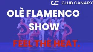 Discover the Best Flamenco Show in Tenerife Ole Flamenco Show