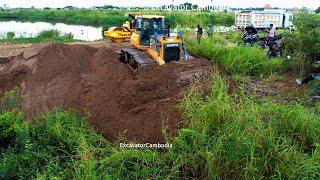 Biggest Sand Filling Project  Technique Operator Filling Up Bulldozer Shantui Push & Clearing Sand