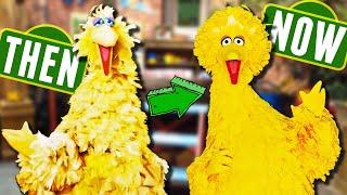 Evolution of Big Bird Muppet - DIStory Ep. 69