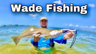 Wade Fishing Galveston for BIG SPECKLED TROUT
