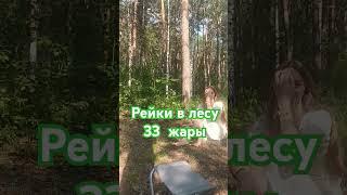 Рейки в лесу . 33 жары