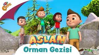 Aslan  Orman Gezisi