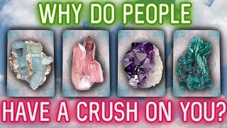 Why Do People Have a Crush on You? 🩷 {PICK A CARD} ️ Timeless Tarot Reading