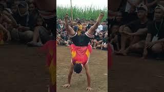 Salto 1000 putaran BANTENGAN BINA TARUNA #bantengan #jaranan #live #budaya #ndadi