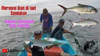 Merawai ikan laut sandakan dapat senanginLongline fishing sea sandakan catch Indian threadfin