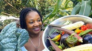 Lets Get That Backyard Grocery  Container Garden Harvest