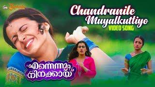 Chandranile Muyalkuttiyo Video Song  Ennennum Ninakkayi  Trisha Krishnan  Siddharth