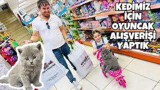 HAVUZ ALMAYA GELDİK  AMA KEDİMİZE OYUNCAK ARADIK  NELER ALDIK BAKALIM ? ALIŞVERİŞ VLOG 