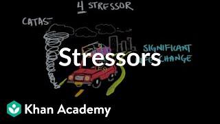Stressors  Processing the Environment  MCAT  Khan Academy