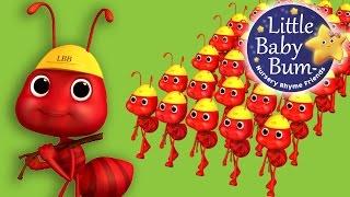 Ants Go Marching  Nursery Rhymes for Babies by LittleBabyBum - ABCs and 123s