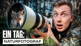 Auf der Jagd nach dem Wolf - 1 Tag als Naturfotograf