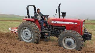 شخم با تراکتور فرگوسن شش سیلندر جفت tractor messey ferguson 399 4wd plowing