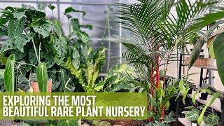 Rare Tropical Plant Nursery Tour  Aroid Greenhouses