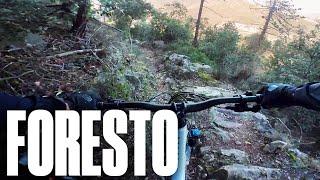 Finale Ligure MTB   Foresto Trail  Pietra Ligure – Ranzi