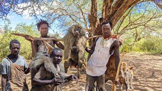 Hadzabe Tribe Made It Again With BIG BABOON. the life of the hunter