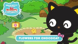 Flowers for Chococat  Hello Kitty and Friends Supercute Adventures S3 EP 13