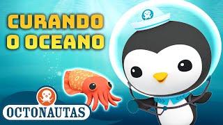 Octonautas - 🩹 Curando o Oceano   Compilação do Peso  Compilação  Episódios inteiros