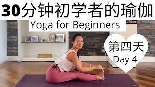 【30分钟初学者的瑜伽课程 Day 4 】零基础瑜伽入门系列课程  Yoga for Beginners Series #4