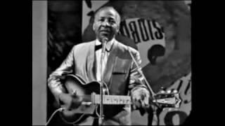 Lonnie Johnson - Swingin The Blues - 1966