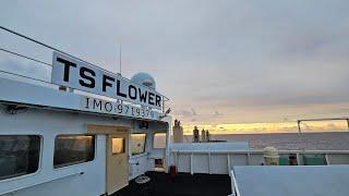 Tour of a Bulk Carrier  TS Flower 