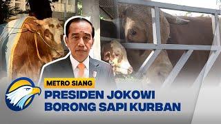 Presiden Jokowi Borong Sapi Kurban Peternak Lokal