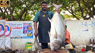 KASIMEDU  SPEED SELVAM  30 KG GIANT TREVALLY FISH CUTTING  IN KASIMEDU  4K VIDEO  FF CUTTING