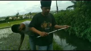 pemancing yang apes ..rasain ngintip org mandi ketahuan lhoo