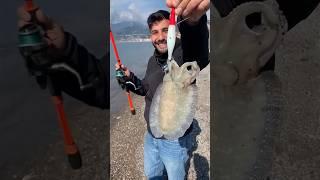 Pescare le seppie con il Tako Egi Essential INPESCA® #takoeging #takogame #eging