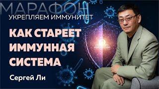 Как стареет иммунная система?  Сергей Ли