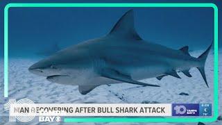 Man recovering after bull shark attack near Key West