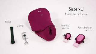 Sister-U Multi Uterus Trainer