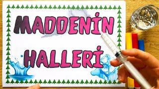 4. SINIF MADDENİN HALLERİ