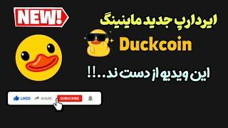 ایردارپ جدید ماینینگ Duckcoin