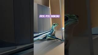 Frog pole dancing#frog #poledance#dance