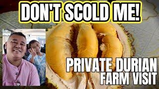 Exclusive Private Durian Farm Visit in Teluk Bahang Tasting 5 Varieties Watch Disclaimer First