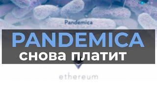 Pandemica снова платит