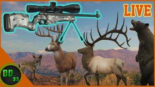  Whitetail Hunting With The New 338 Bolt Action Rifle LIVE  Call Of The Wild 2023