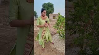 वाह  आ गया पौधों का AC कुलर 🪴plant care in summer #agriculture #plantcare #shortviral #kisan