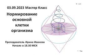 НОРМИРОВАНИЕ ОСНОВНОЙ КЛЕТКИ ЧЕЛОВЕКА Ирина Иванова 3.09.2023 МК по учению ДРЕВО ЖИЗНИ Арк Петрова