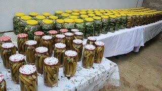  I ORDERED 230 KG OF Cucumber Pickles‍️ FULL MEASUREMENT  CUCUMBER PICKLE RECIPE 