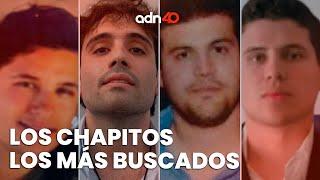 Los Chapitos son los principales traficantes de fentanilo en el mundo  Todo Personal