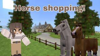 Getting a New Horse  Try Horses With Me  Minecraft Equestrian