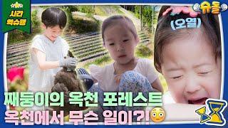 째둥이는 힐링 아빠는 킬링 삼 남매의 옥천 포레스트  슈퍼맨이 돌아왔다 KBS 240714 방송