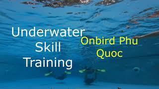 Frog Kick  Underwater Skill Training with OnBird Team