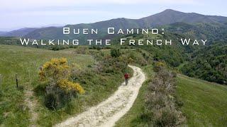 Buen Camino Walking the French Way Documentary